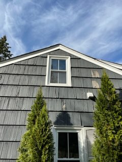 We repaire exterior trim on many windows using PVC rot free trim 